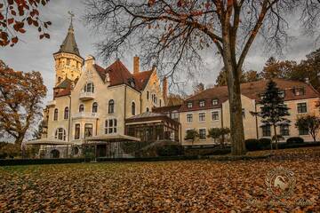 Фото Отель Hotel Bursztynowy Pałac г. Кошалин 5